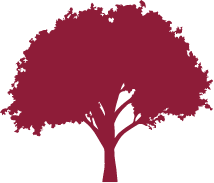 Red Oak Capital