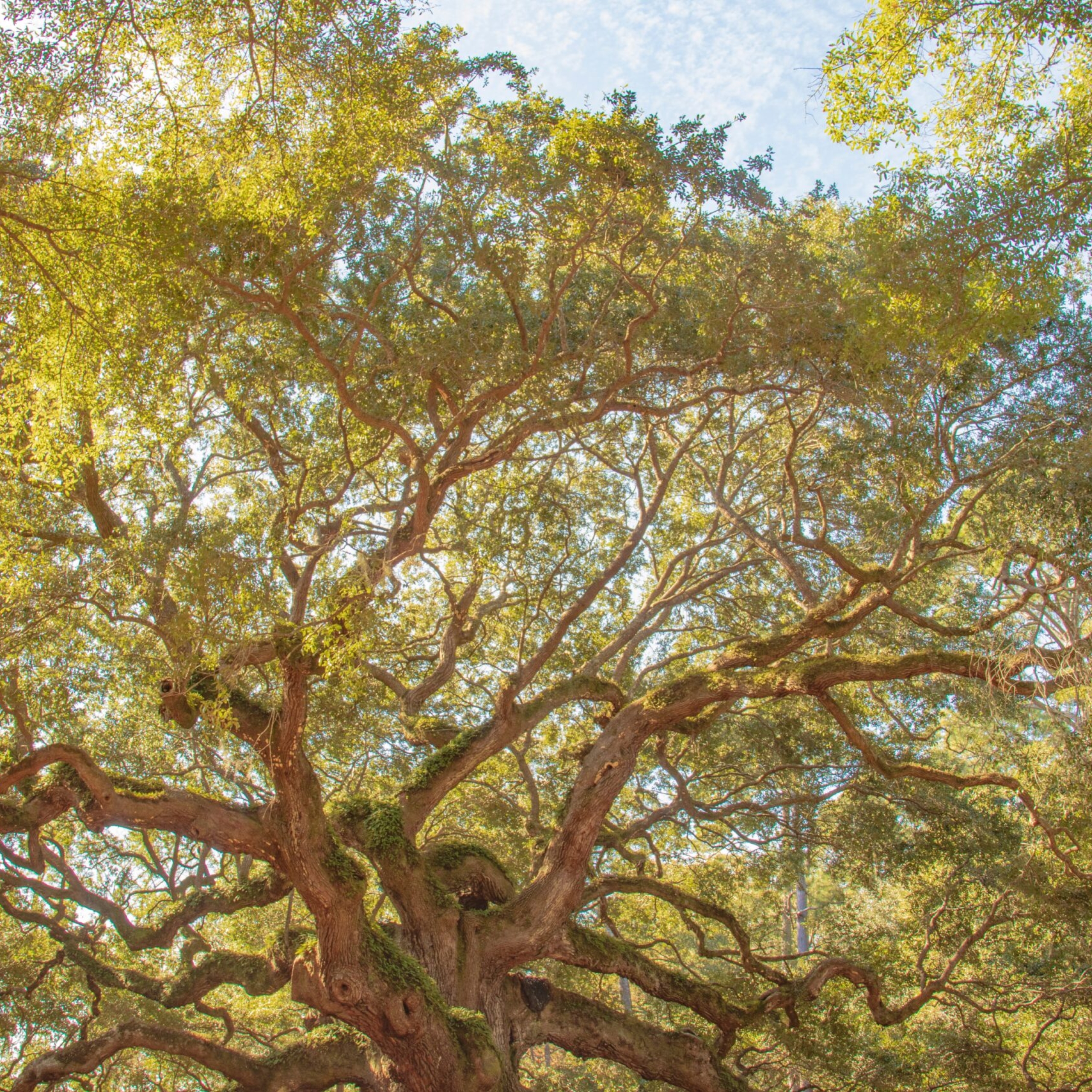 george-berberich-AXcjq7E01EE-unsplash